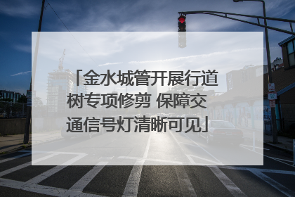 金水城管开展行道树专项修剪 保障交通信号灯清晰可见