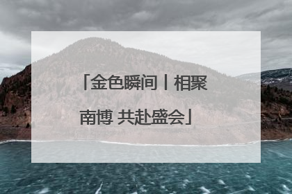 金色瞬间丨相聚南博 共赴盛会