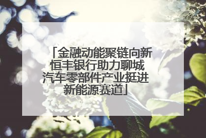 金融动能聚链向新 恒丰银行助力聊城汽车零部件产业挺进新能源赛道
