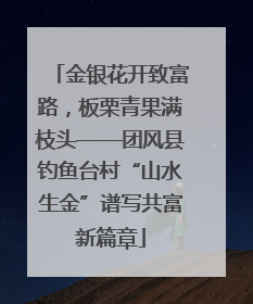 金银花开致富路，板栗青果满枝头——团风县钓鱼台村“山水生金”谱写共富新篇章