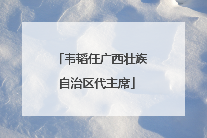 韦韬任广西壮族自治区代主席