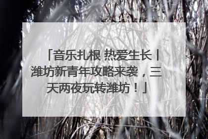 音乐扎根 热爱生长丨潍坊新青年攻略来袭，三天两夜玩转潍坊！
