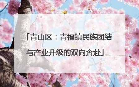 青山区：青福镇民族团结与产业升级的双向奔赴