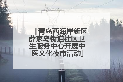 青岛西海岸新区薛家岛街道社区卫生服务中心开展中医文化夜市活动