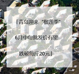 青岛迎来“榴莲季” 6月中旬批发价有望跌破每斤20元