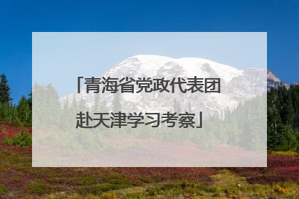 青海省党政代表团赴天津学习考察