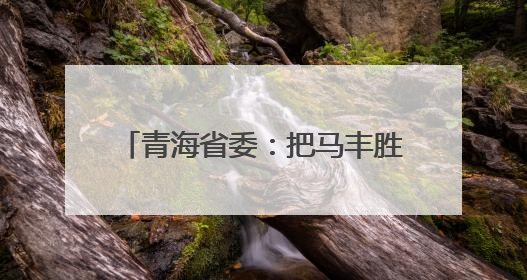 青海省委：把马丰胜案作为典型案例，以身边事教育身边人