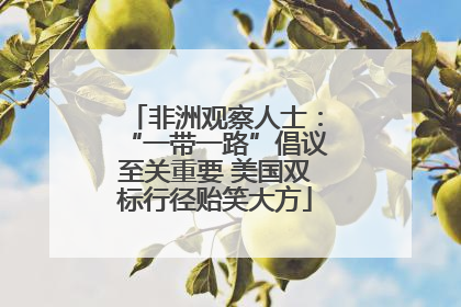 非洲观察人士：“一带一路”倡议至关重要 美国双标行径贻笑大方