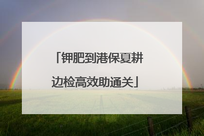 钾肥到港保夏耕 边检高效助通关