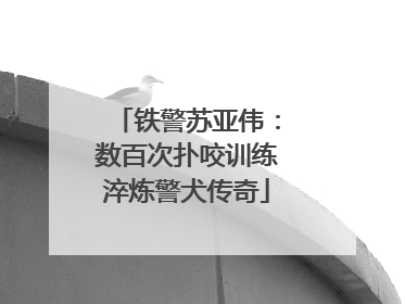 铁警苏亚伟：数百次扑咬训练淬炼警犬传奇