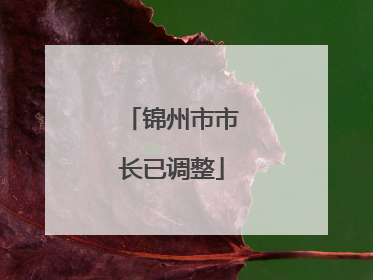 锦州市市长已调整