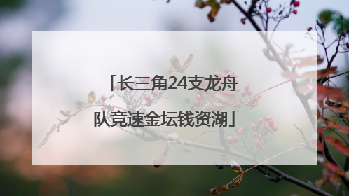 长三角24支龙舟队竞速金坛钱资湖