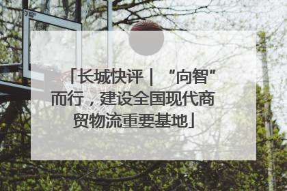 长城快评｜“向智”而行，建设全国现代商贸物流重要基地