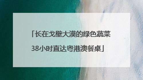 长在戈壁大漠的绿色蔬菜38小时直达粤港澳餐桌