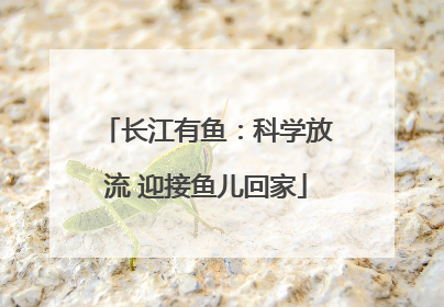 长江有鱼：科学放流 迎接鱼儿回家