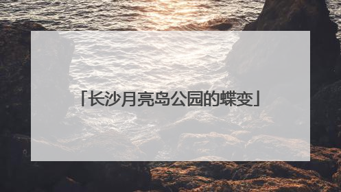 长沙月亮岛公园的蝶变