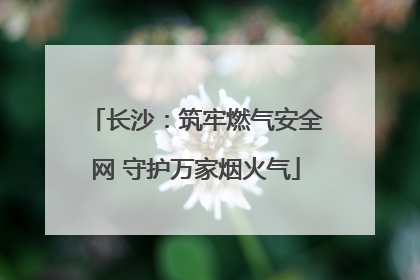 长沙：筑牢燃气安全网 守护万家烟火气