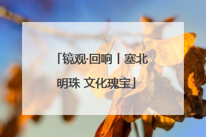 镜观·回响丨塞北明珠 文化瑰宝