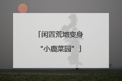 闲置荒地变身“小鹿菜园”