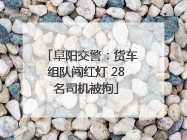 阜阳交警：货车组队闯红灯 28名司机被拘