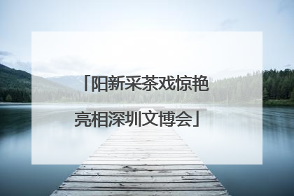 阳新采茶戏惊艳亮相深圳文博会