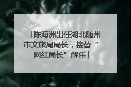 陈海洲出任湖北随州市文旅局局长，接替“网红局长”解伟
