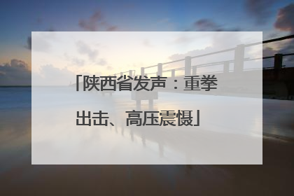 陕西省发声：重拳出击、高压震慑