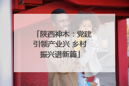 陕西神木：党建引领产业兴 乡村振兴谱新篇