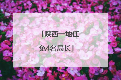 陕西一地任免4名局长