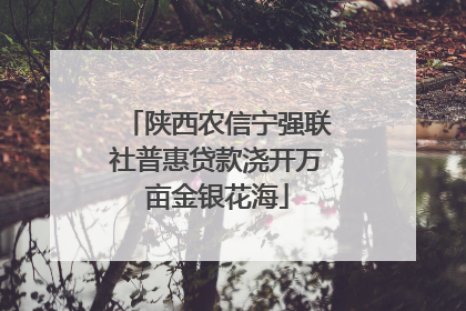陕西农信宁强联社普惠贷款浇开万亩金银花海