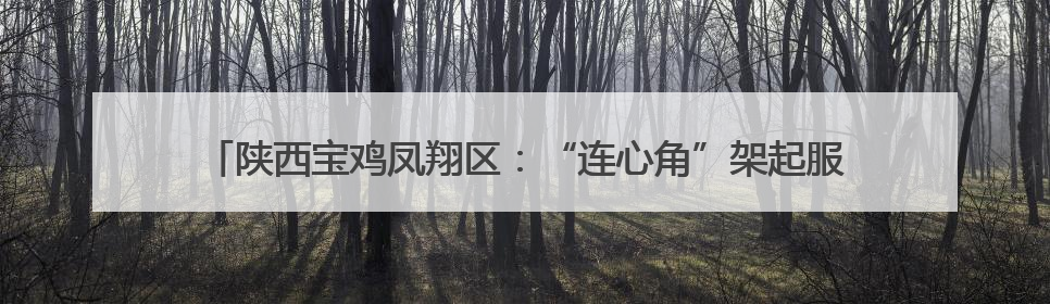 陕西宝鸡凤翔区：“连心角”架起服务桥 文明实践助力“三夏”农忙