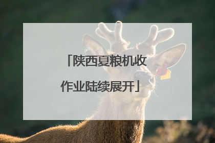 陕西夏粮机收作业陆续展开