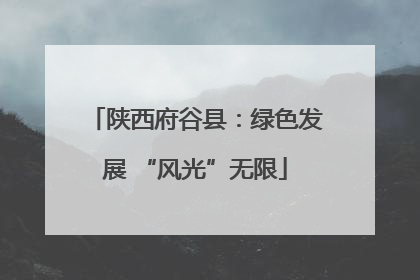 陕西府谷县：绿色发展 “风光”无限