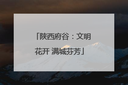 陕西府谷：文明花开 满城芬芳