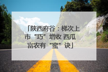 陕西府谷：梯次上市“巧”增收 西瓜富农有“蜜”诀
