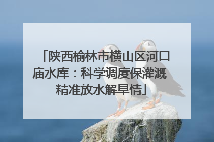 陕西榆林市横山区河口庙水库：科学调度保灌溉 精准放水解旱情