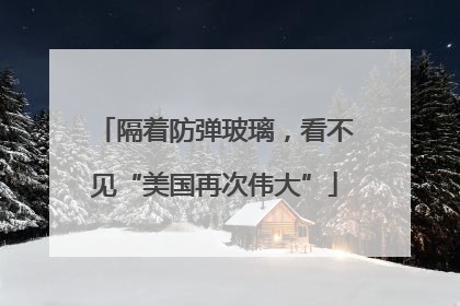 隔着防弹玻璃，看不见“美国再次伟大”