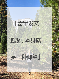 雷军发文：诋毁，本身就是一种仰望