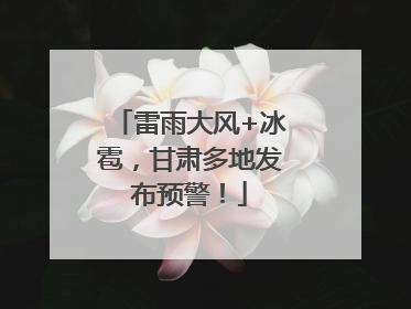 雷雨大风+冰雹，甘肃多地发布预警！