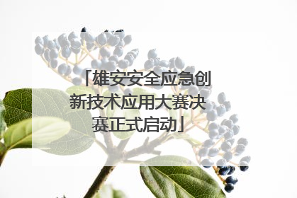 雄安安全应急创新技术应用大赛决赛正式启动