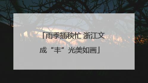 雨季插秧忙 浙江文成“丰”光美如画