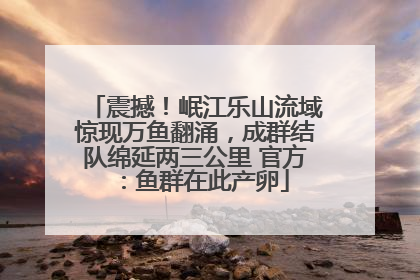 震撼！岷江乐山流域惊现万鱼翻涌，成群结队绵延两三公里 官方：鱼群在此产卵