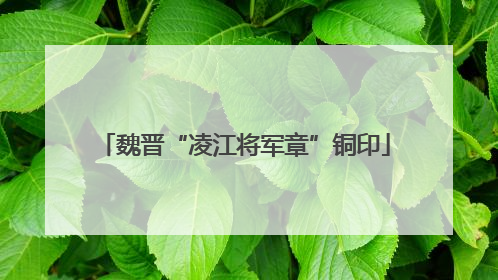 魏晋“凌江将军章”铜印