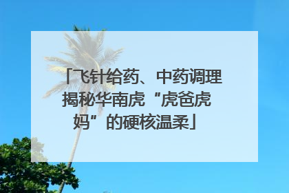 飞针给药、中药调理 揭秘华南虎“虎爸虎妈”的硬核温柔