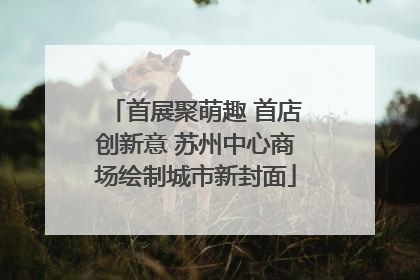 首展聚萌趣 首店创新意 苏州中心商场绘制城市新封面