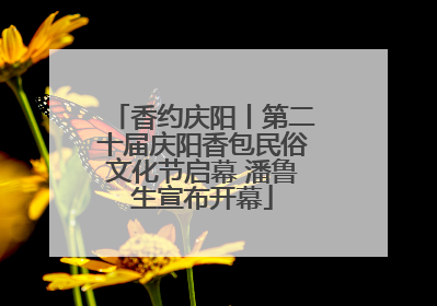 香约庆阳丨第二十届庆阳香包民俗文化节启幕 潘鲁生宣布开幕