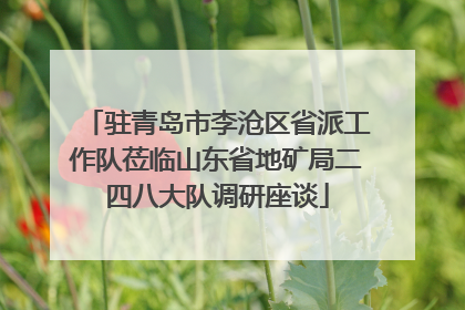 驻青岛市李沧区省派工作队莅临山东省地矿局二四八大队调研座谈