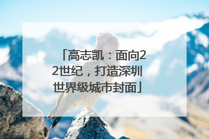 高志凯：面向22世纪，打造深圳世界级城市封面