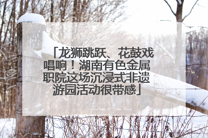 龙狮跳跃、花鼓戏唱响！湖南有色金属职院这场沉浸式非遗游园活动很带感
