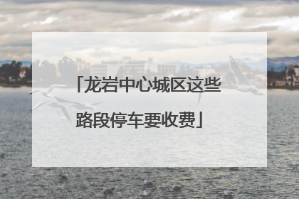 龙岩中心城区这些路段停车要收费